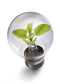 Green Agenda