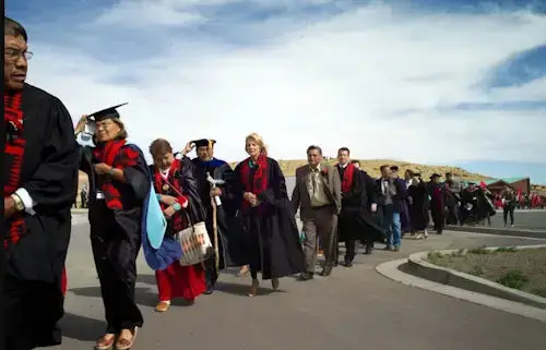 higher education