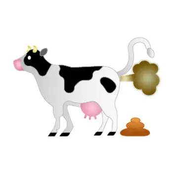 Cow gas