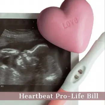 Heartbeat Bill