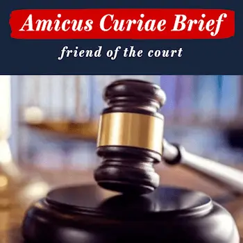 Amicus Briefs