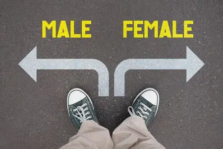 Male or Female