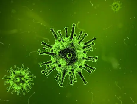 coronavirus