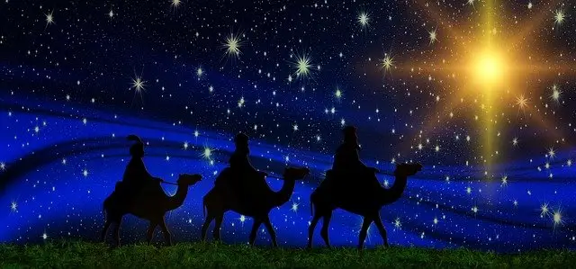 wise men