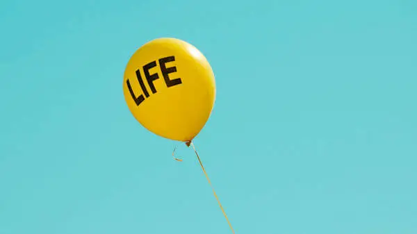 Life