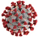 Virus