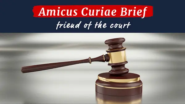 Amicus Briefs