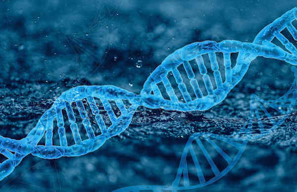 DNA