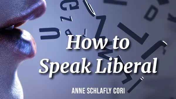 How to Speak Liberal