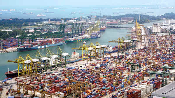Supply Chain