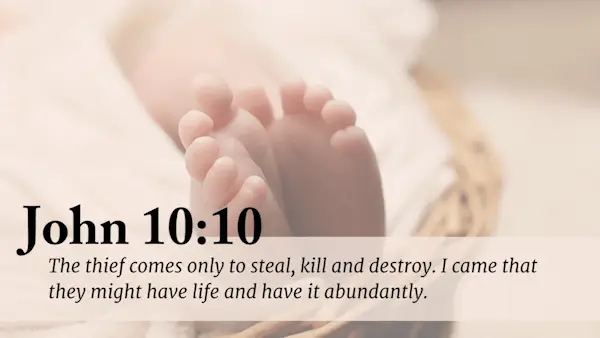 John 10:10