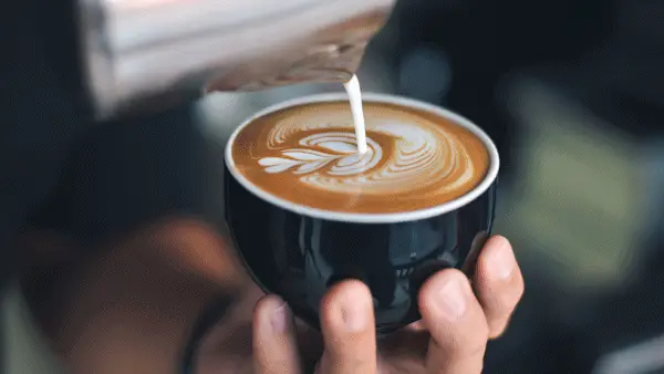baristas unite