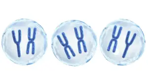 Chromosomes