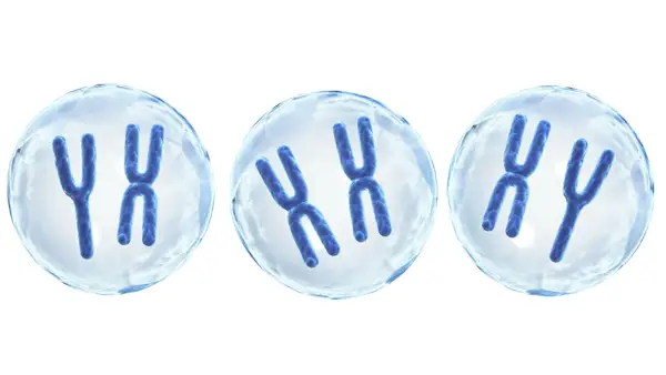 Chromosomes