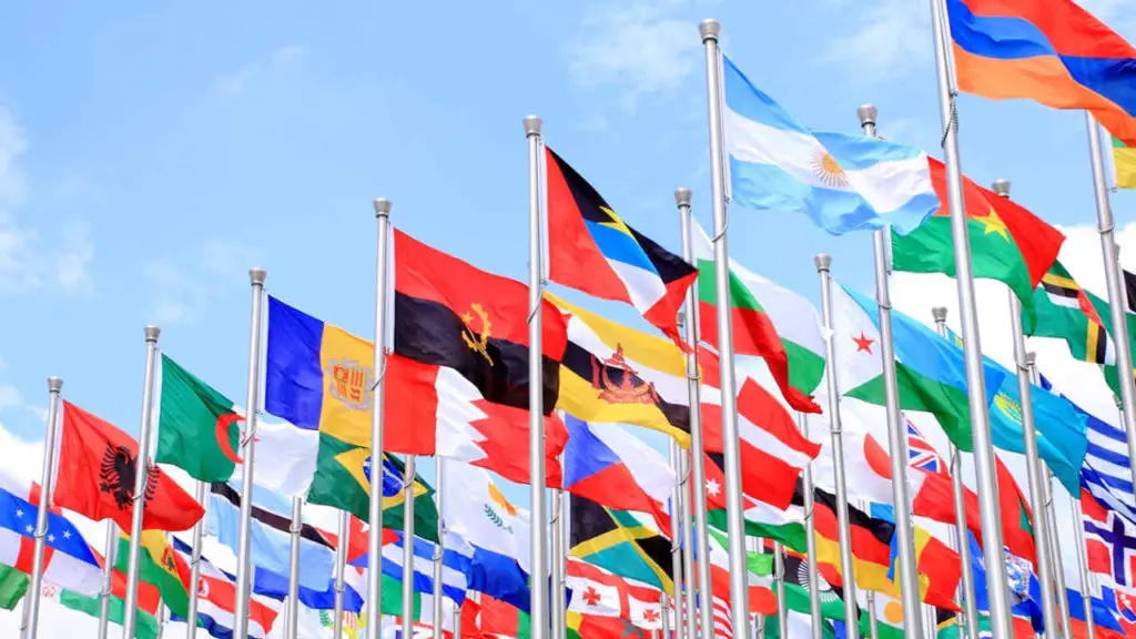 U.N. flags