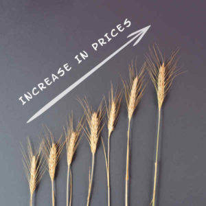 Increase in prices