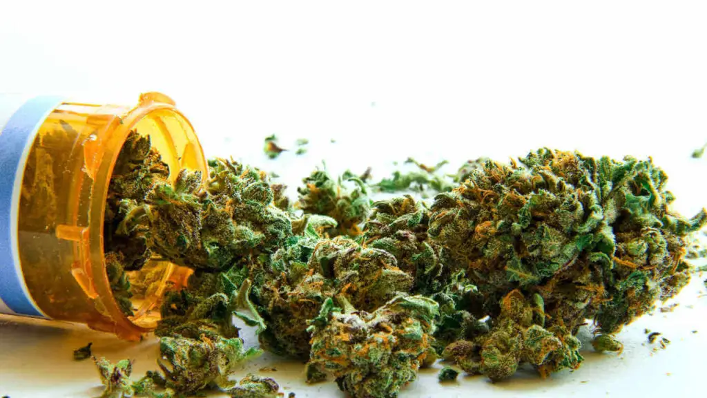 Pot