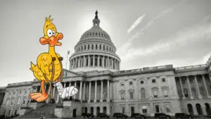 Lame Duck Congress