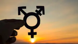 Trans Activists