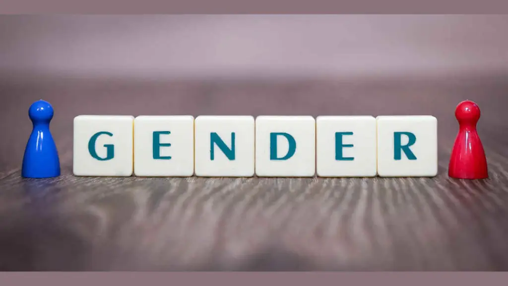 College Gender Studies