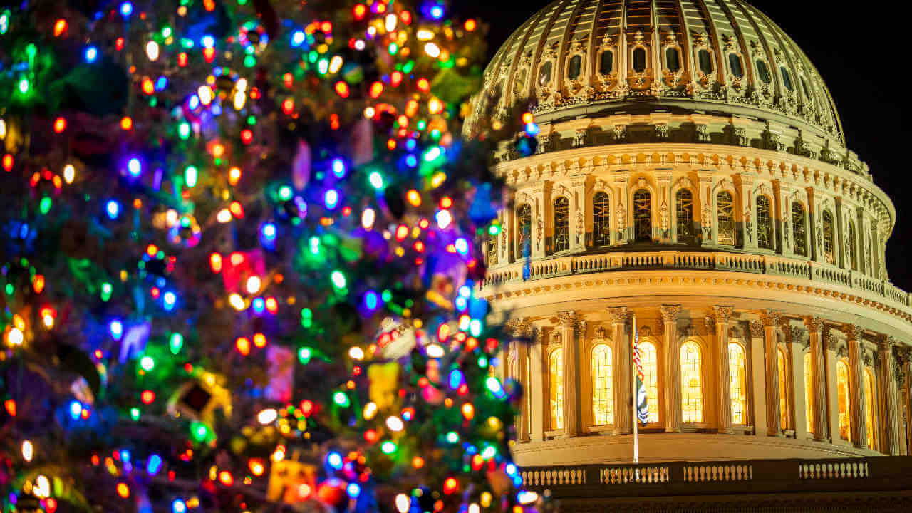 D.C. Christmas