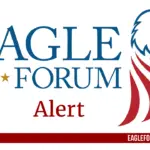 Alert