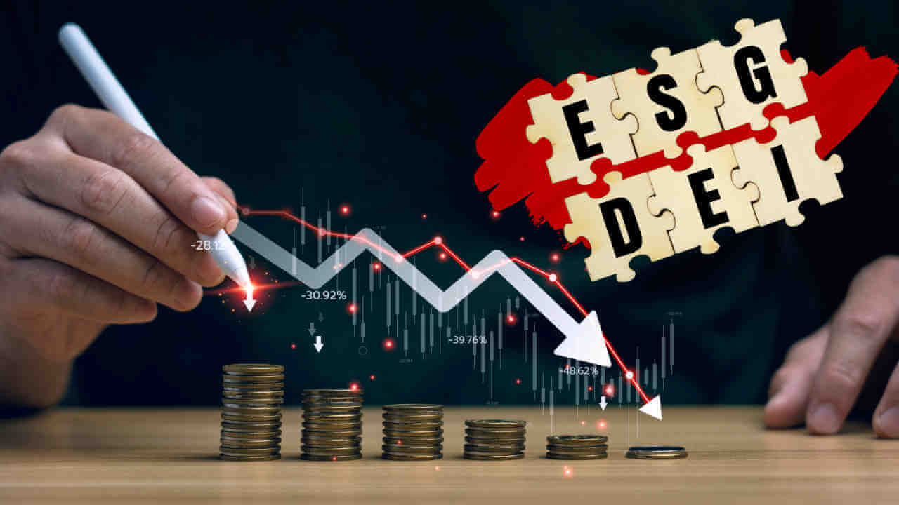 ESG / DEI Investments