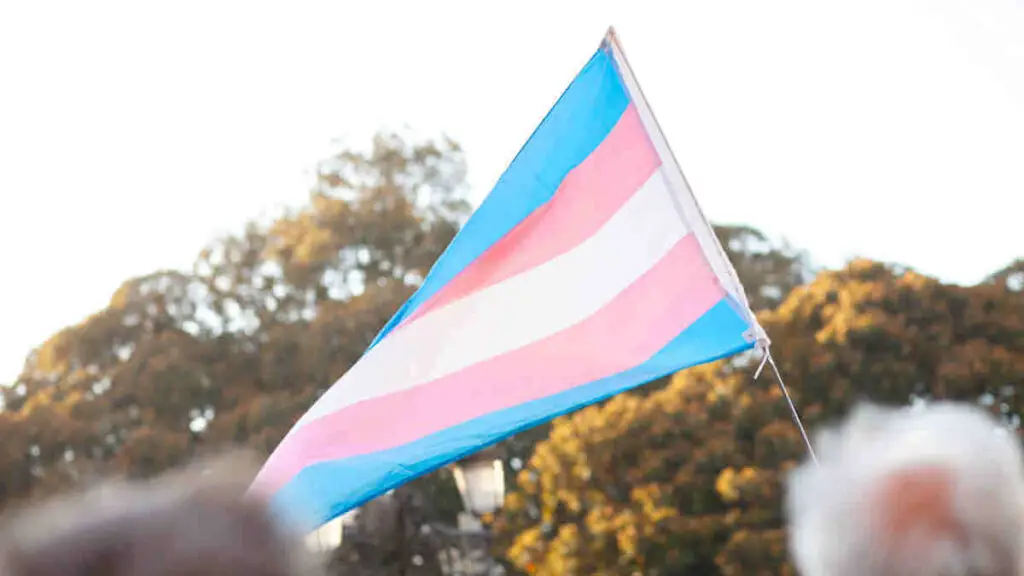 Trans Flag