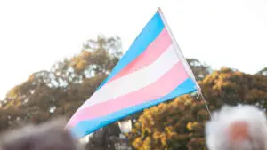 Trans Flag