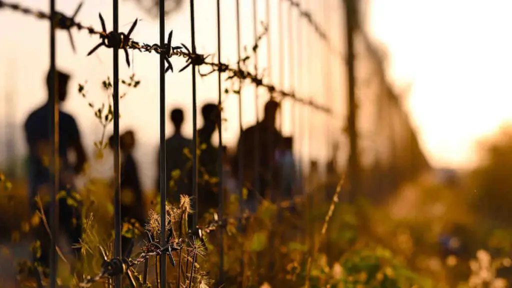 Border Crisis