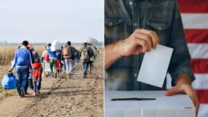 Illegal Immigration Voting