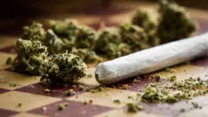 Pot