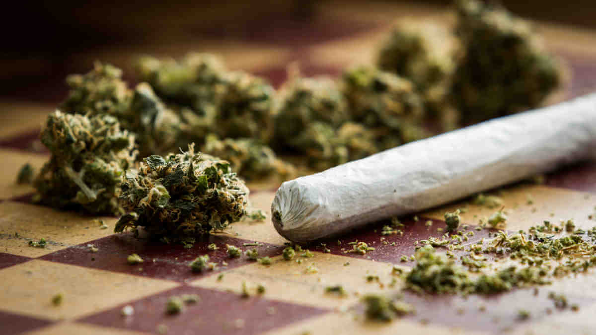 Pot