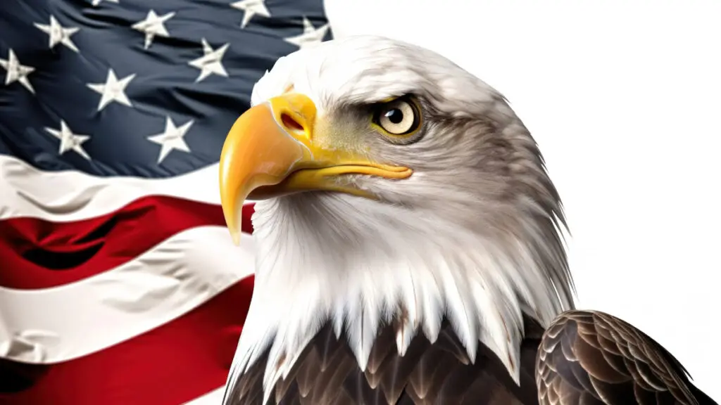 Eagle 2024