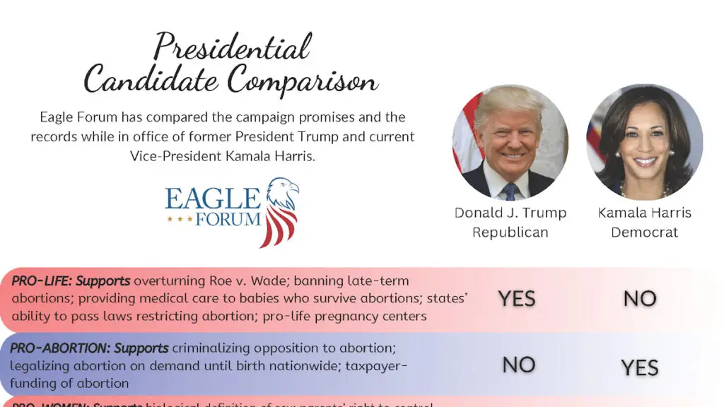 Candidate Comparison