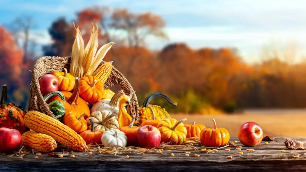 Thanksgiving 2024