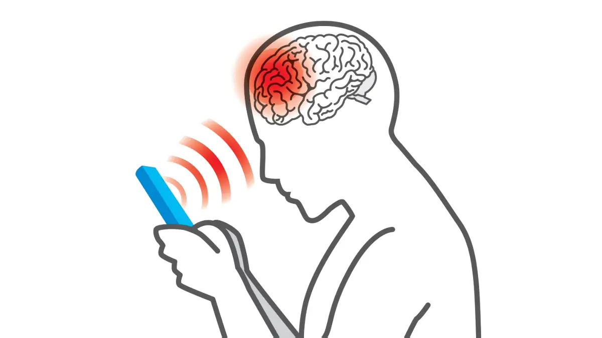 cell phone / Brain
