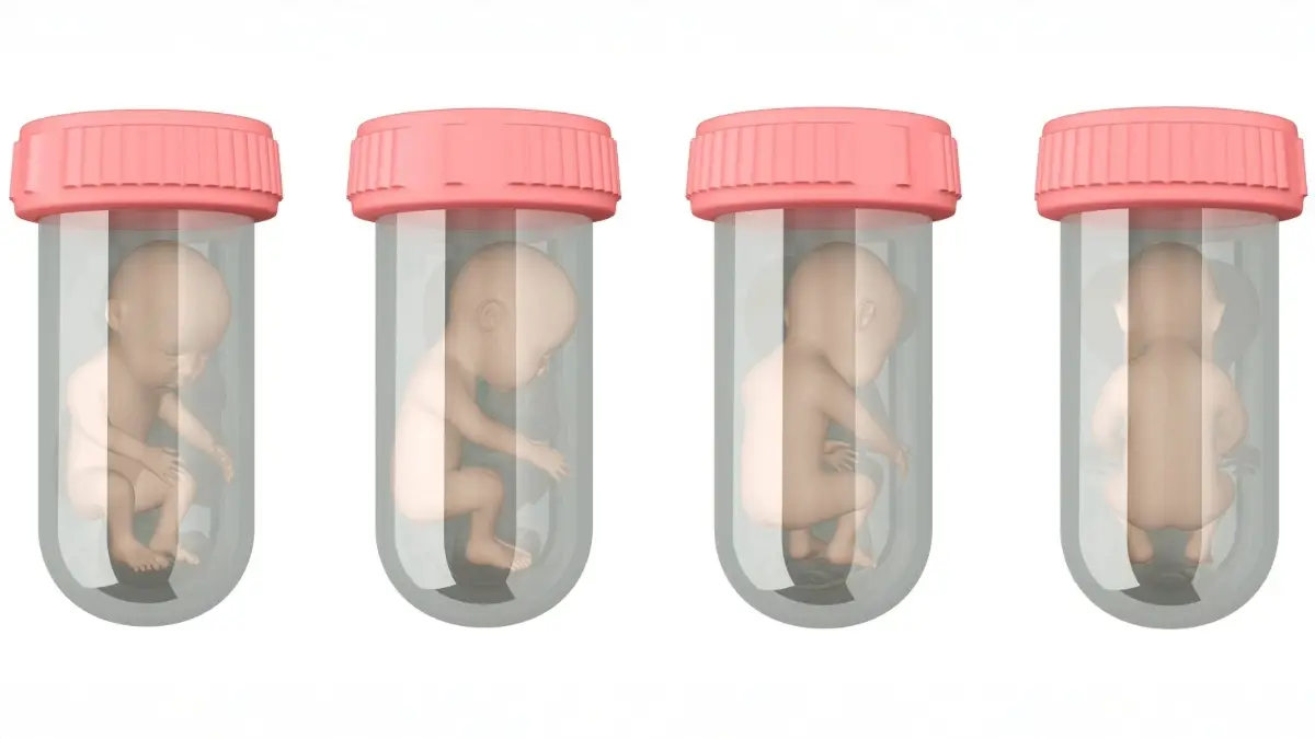 embryos