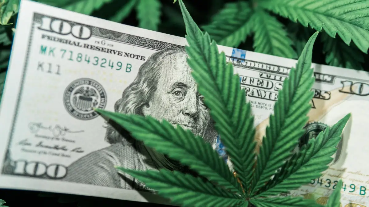Marijuana-$$