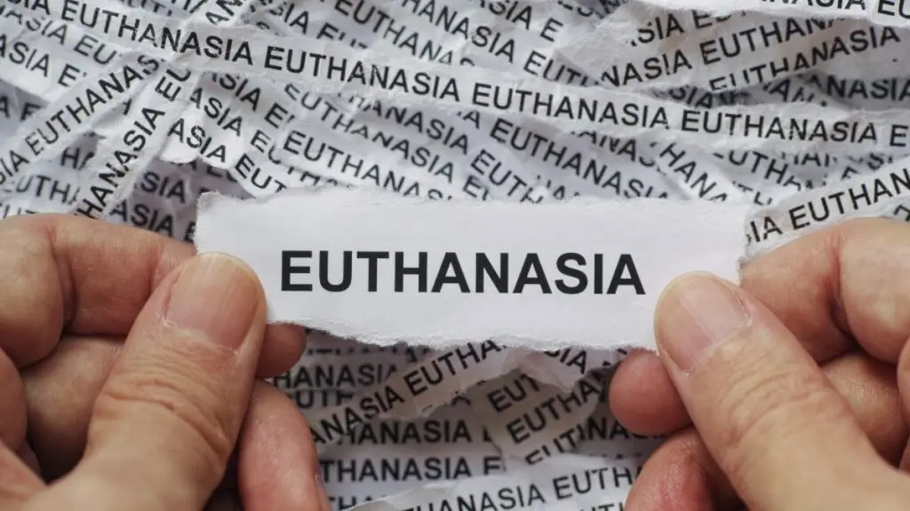 euthanasia