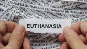 euthanasia