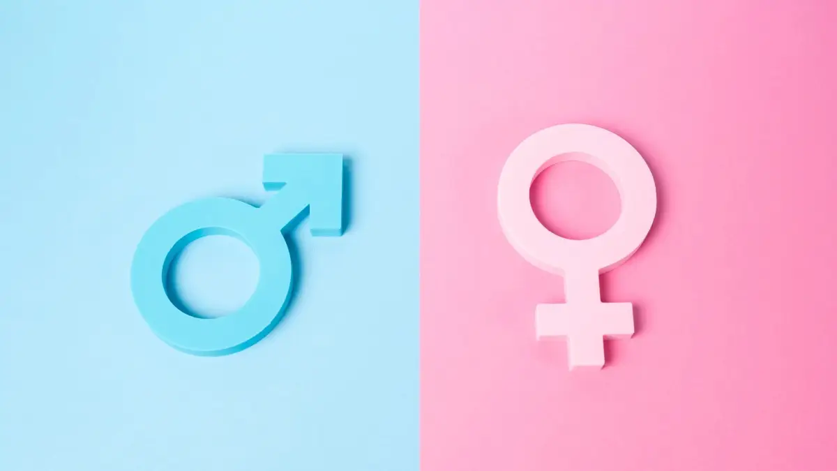 gender identity