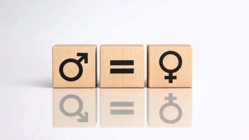 Gender Ideology